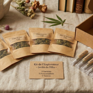 Kit de l'Explorateur