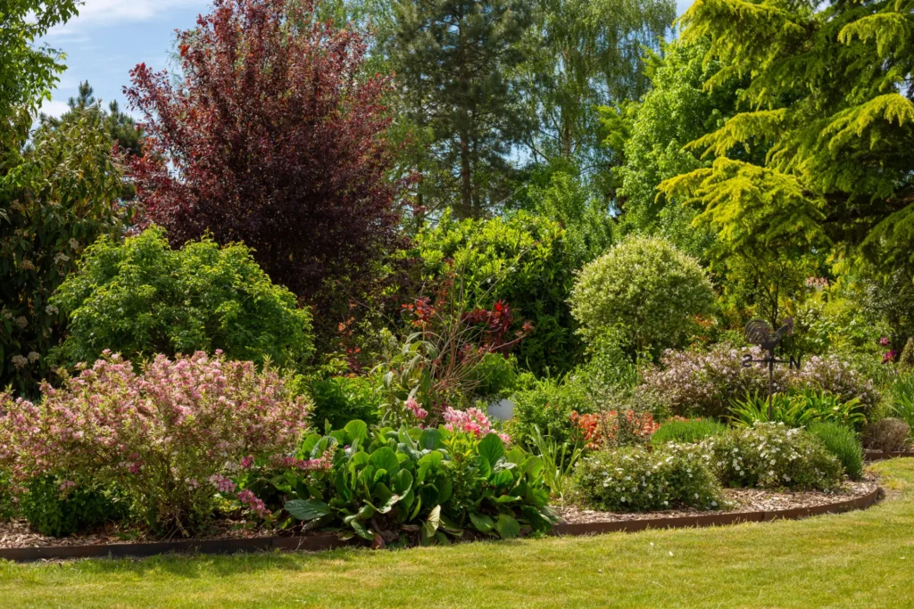 Un don pour un arbre : Participez à notre oasis de biodiversité !