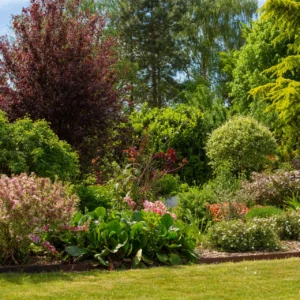 Un don pour un arbre : Participez à notre oasis de biodiversité !