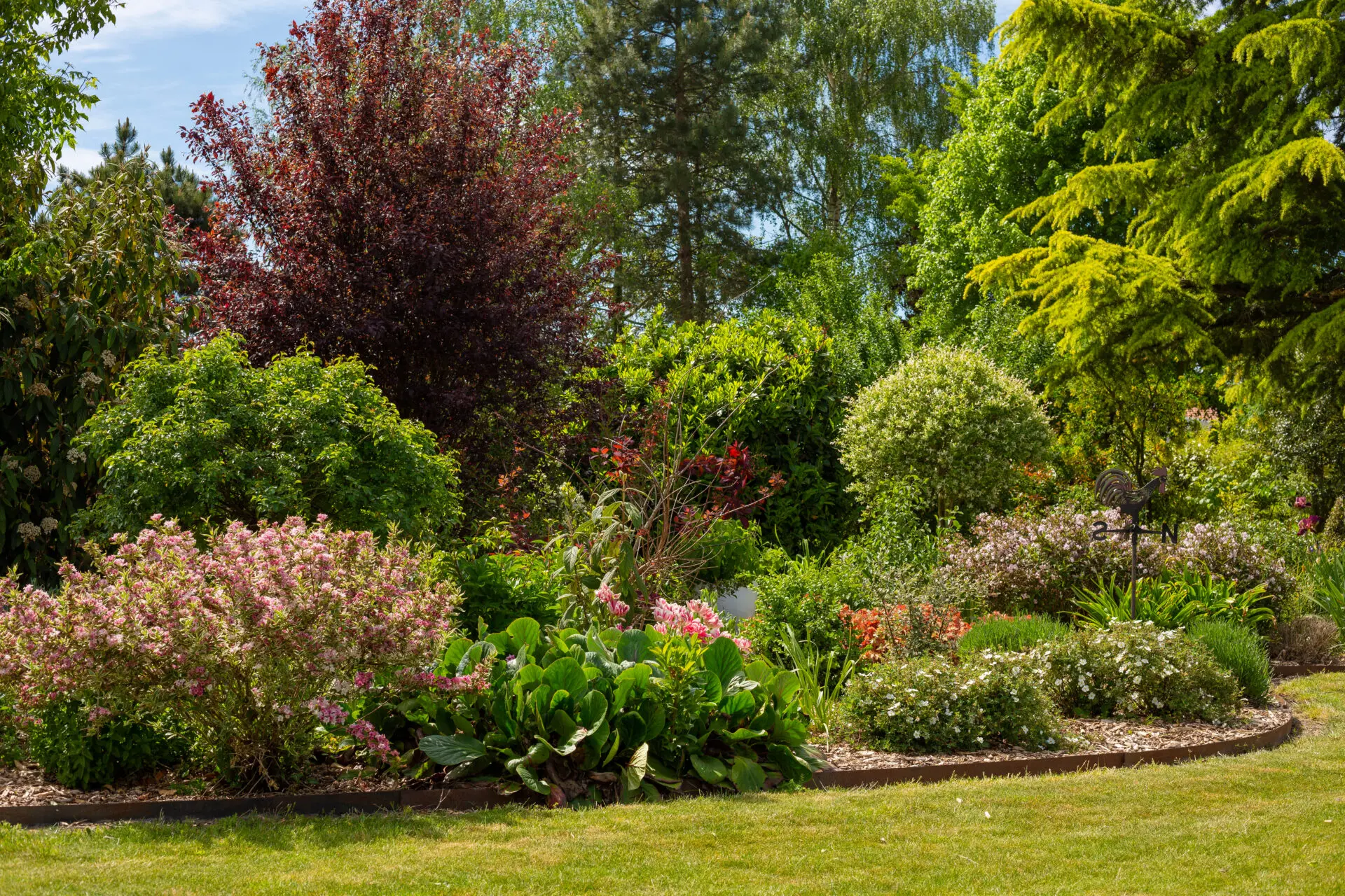 Un don pour un arbre : Participez à notre oasis de biodiversité !